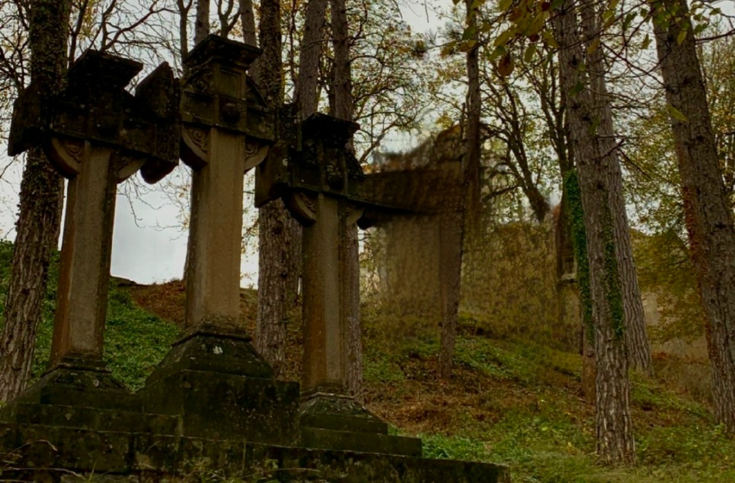 imagen Diálogos desde Evang. 2 Nov 25